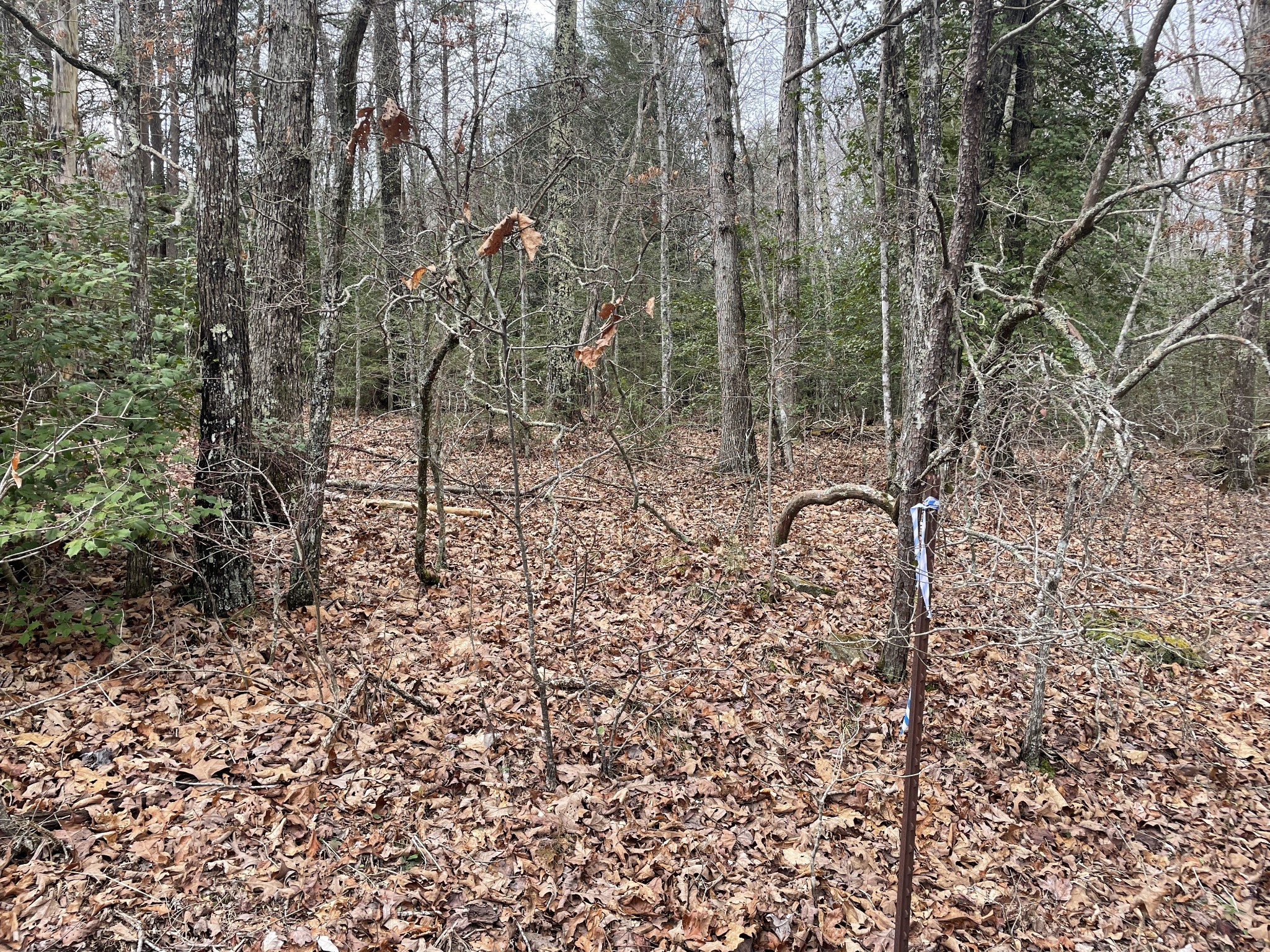 0 Shell Road Dunlap, TN 37327 - Photo 3 of 8 Gallery Image 3