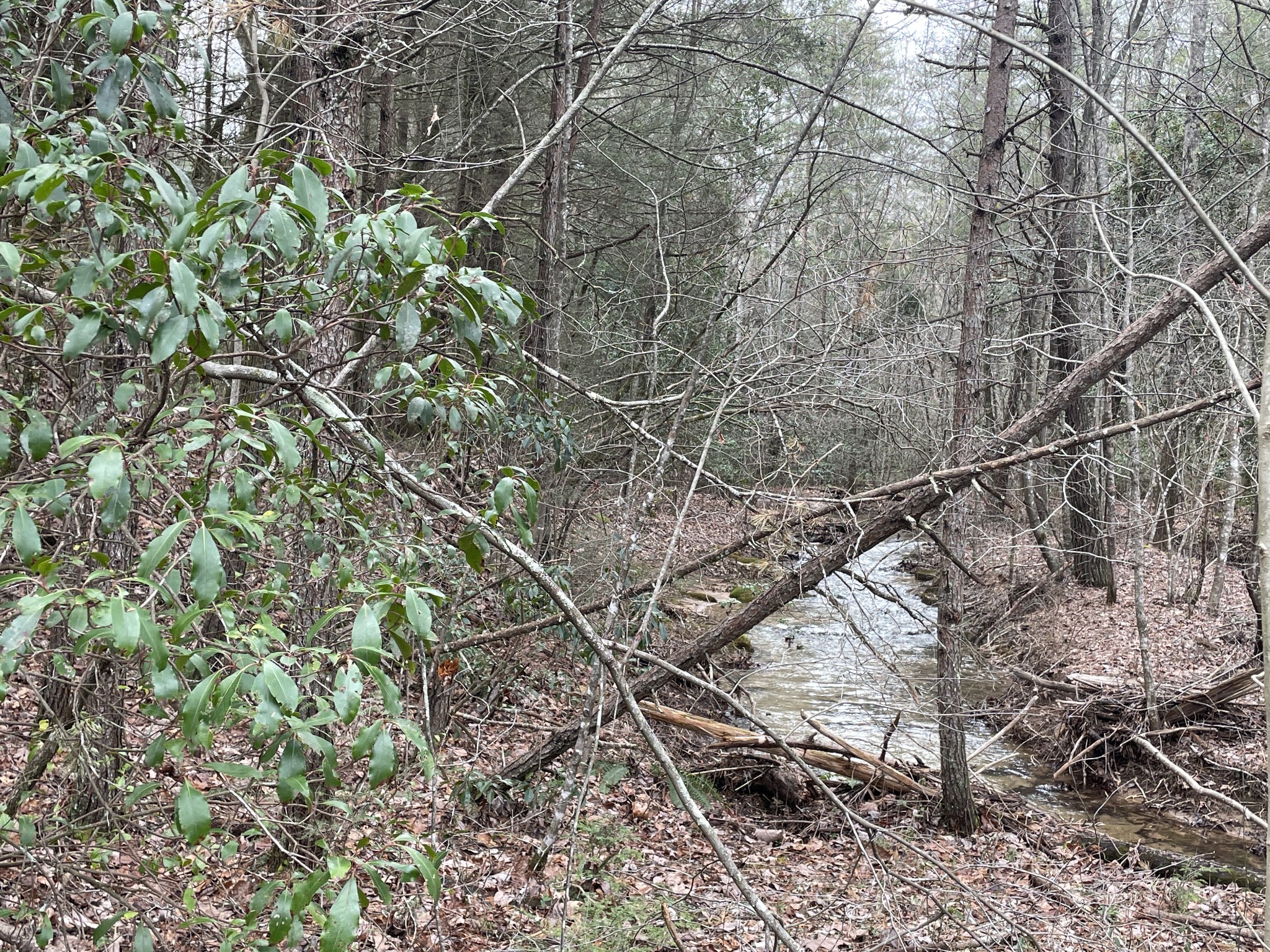0 Shell Road Dunlap, TN 37327 - Photo 6 of 8 Gallery Image 6