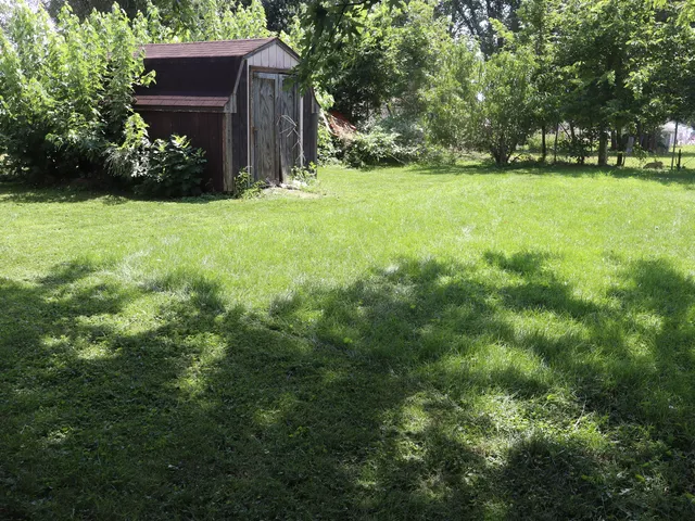 a view of a backyard with large trees