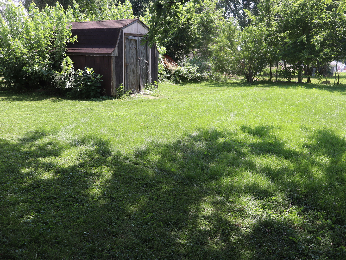 509 West Grant Street Streator, IL 61364 - Photo 5 of 24 a view of a backyard with large trees