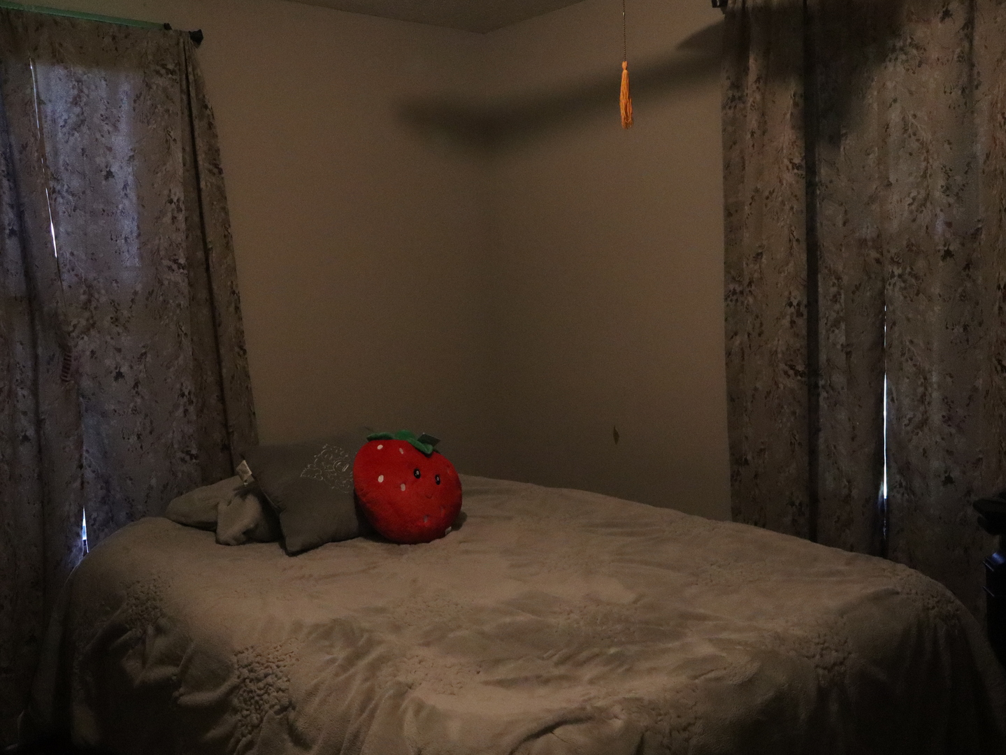 509 West Grant Street Streator, IL 61364 - Photo 9 of 24 a bed sitting in a bedroom next to a shower