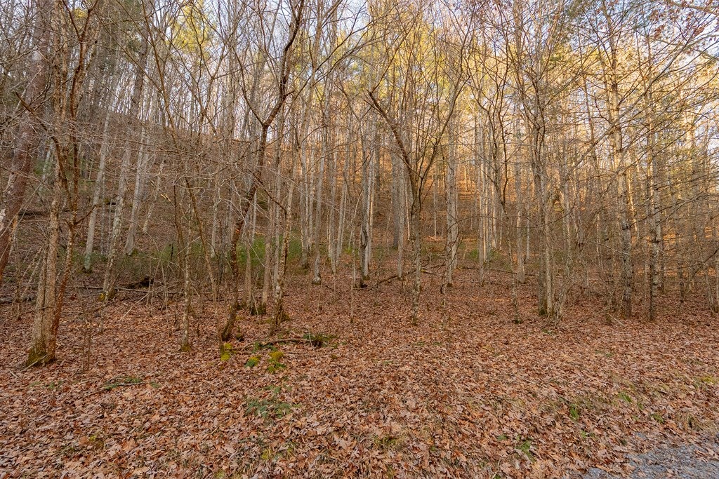 Tbd Kimberling Road, Unit 10A 10B2 Bland, VA 24315 - Photo 11 of 72 Gallery Image 11