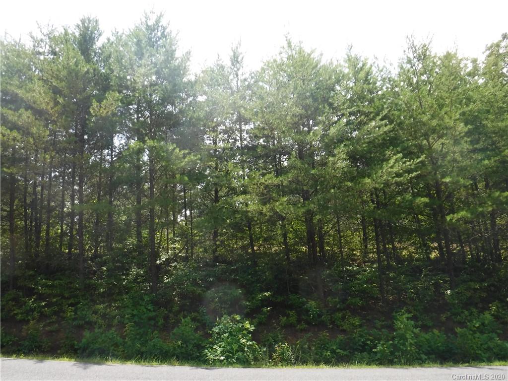 Lot 31 South Cove Rd Mill Spring Mill Spring, NC 28756 - Photo 1 of 8