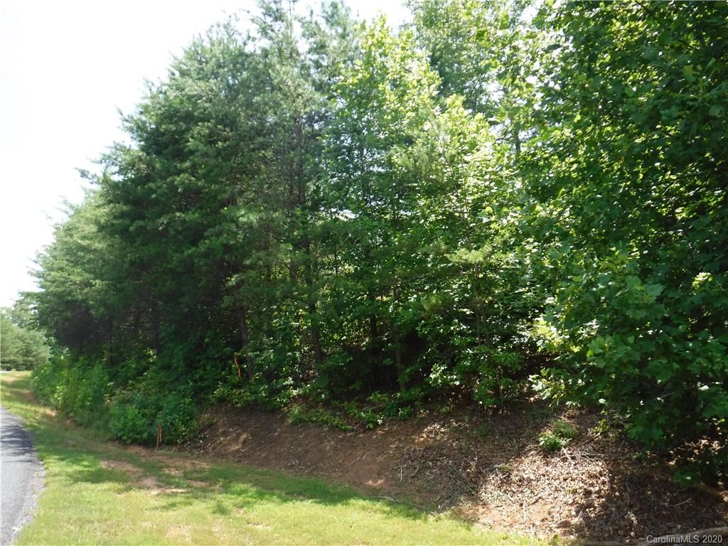 Lot 31 South Cove Rd Mill Spring Mill Spring, NC 28756 - Photo 2 of 8