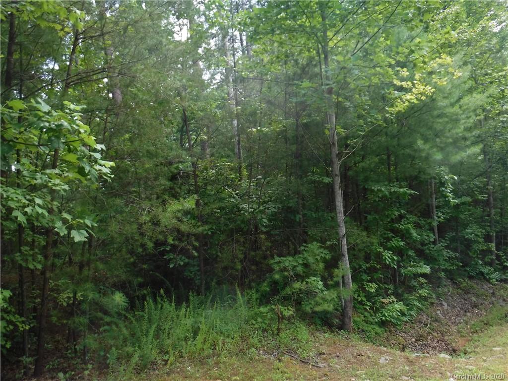 Lot 31 South Cove Rd Mill Spring Mill Spring, NC 28756 - Photo 3 of 8