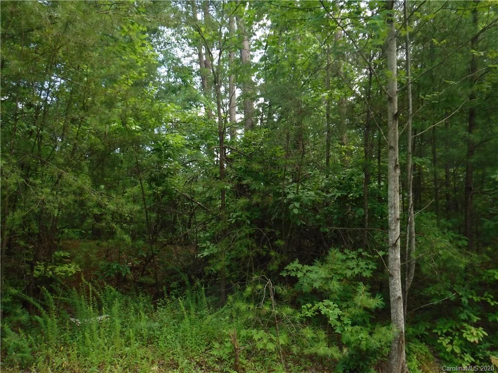 Lot 31 South Cove Rd Mill Spring Mill Spring, NC 28756 - Photo 4 of 8