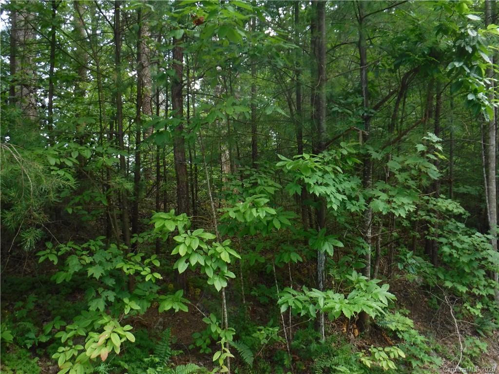 Lot 31 South Cove Rd Mill Spring Mill Spring, NC 28756 - Photo 5 of 8