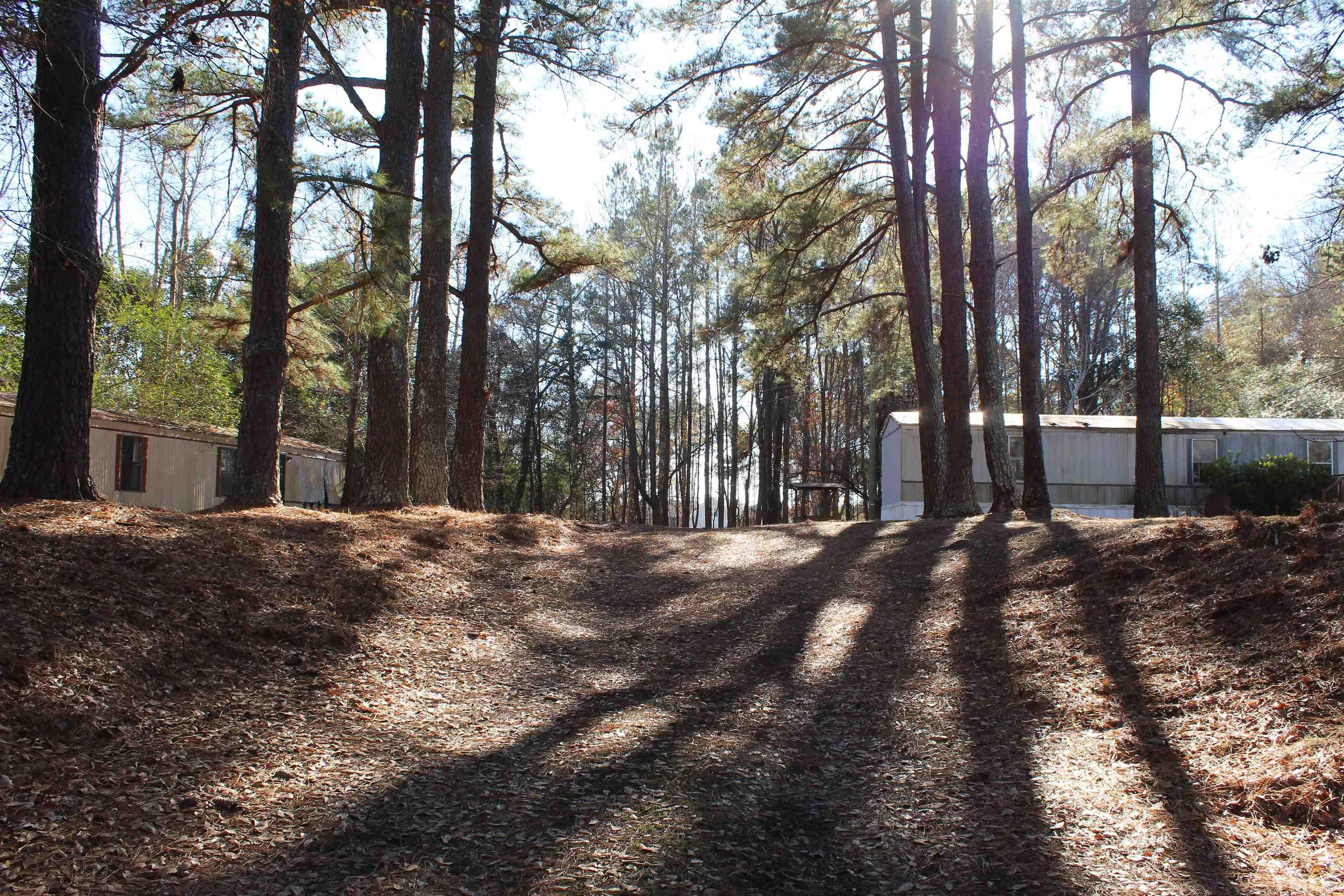 3617 Banks Road Raleigh, NC 27603 - Photo 2 of 37 a view of road and trees
