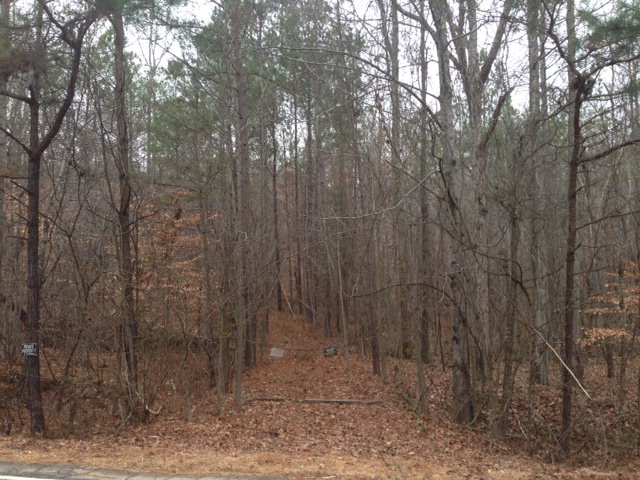 Lot 7 Cove Road Manchester, GA 31816 - Photo 1 of 1 Main View