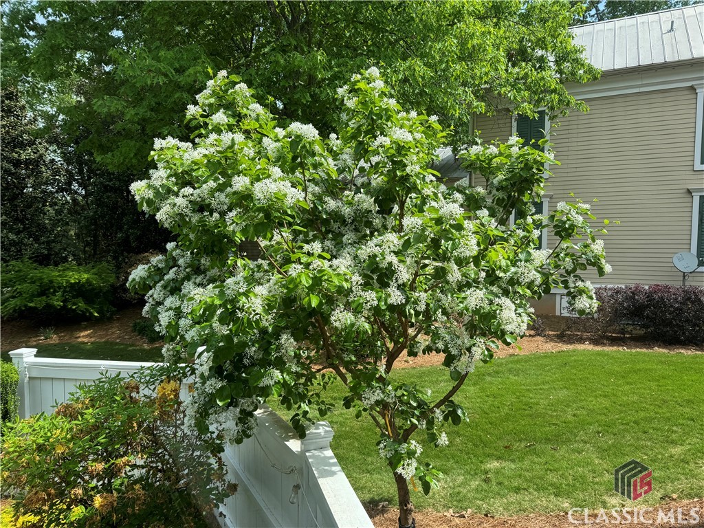8 Oak Grove Road Athens, GA 30607 - Photo 53 of 75