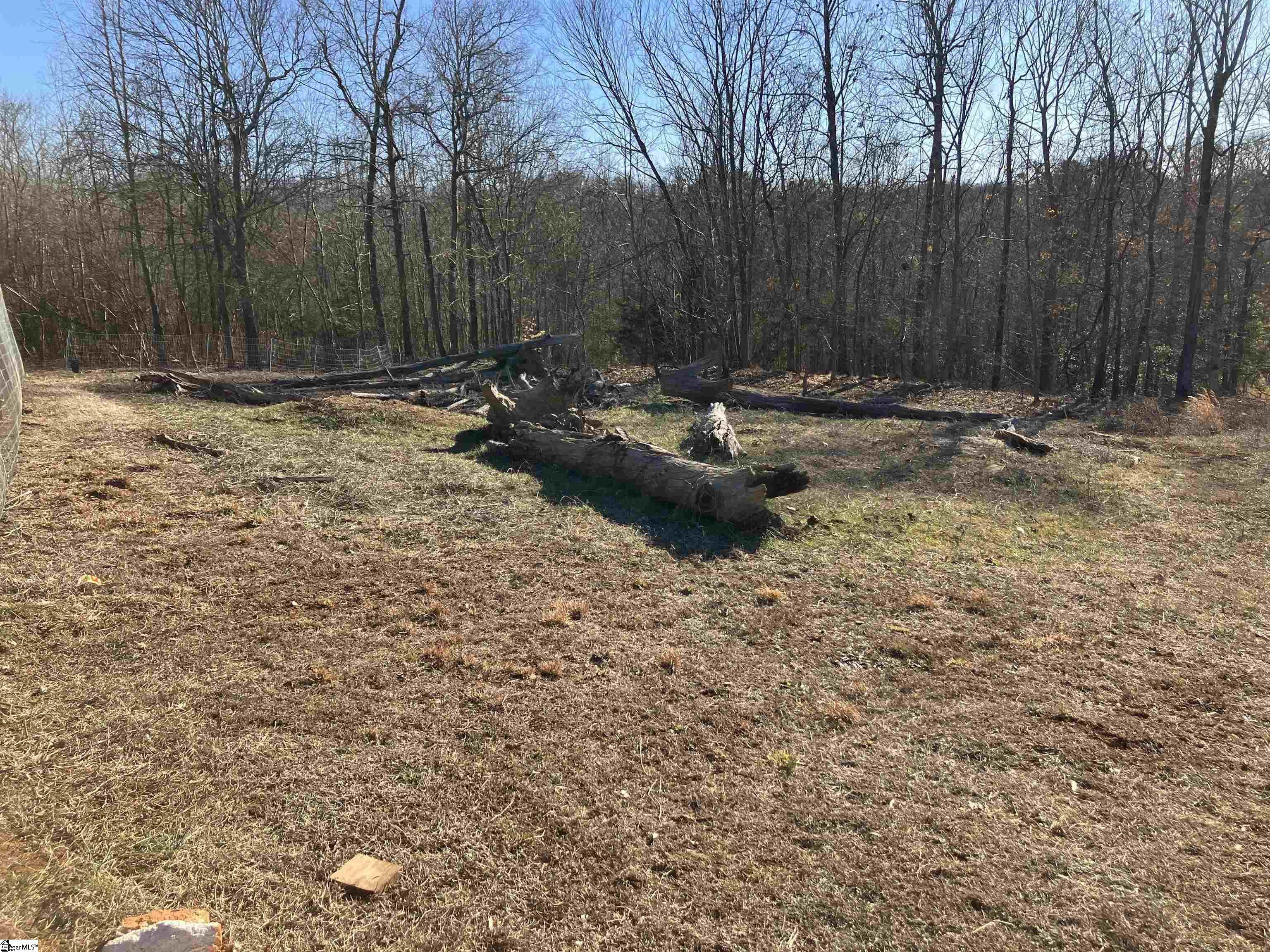 0 Cunningham Road Woodruff, SC 29388 - Photo 16 of 49 Gallery Image 16