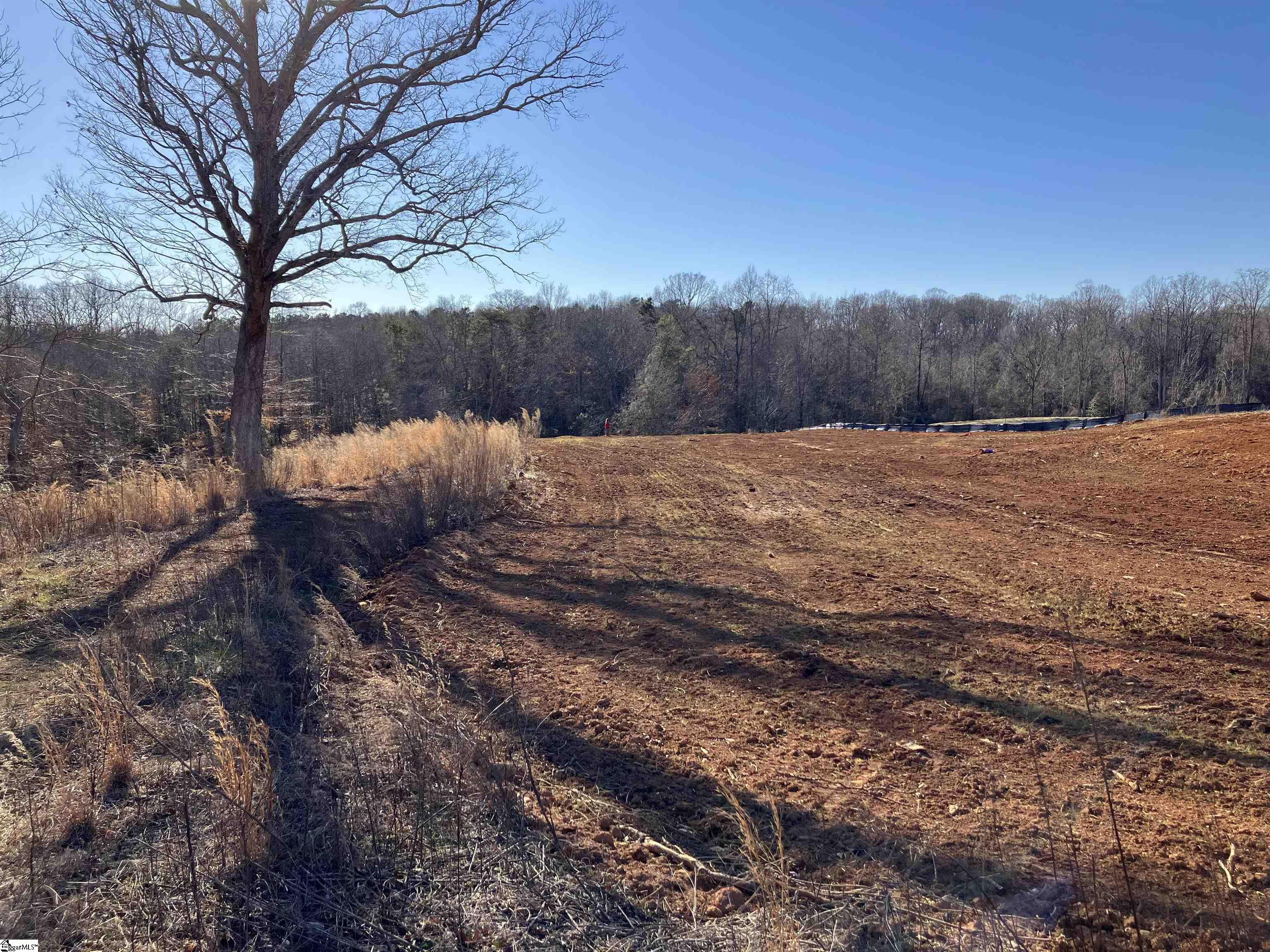 0 Cunningham Road Woodruff, SC 29388 - Photo 18 of 49 Gallery Image 18