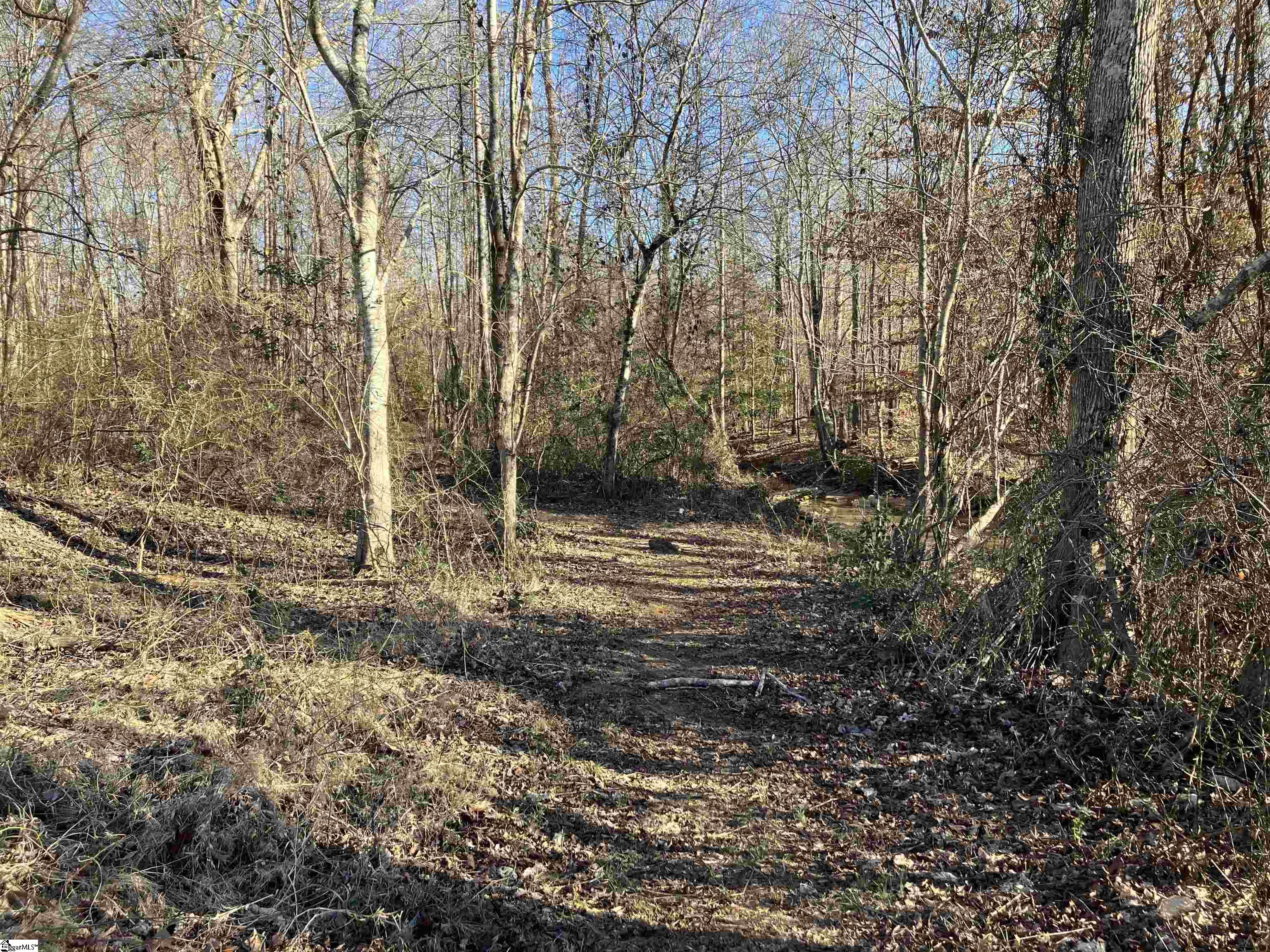 0 Cunningham Road Woodruff, SC 29388 - Photo 26 of 49 Gallery Image 26