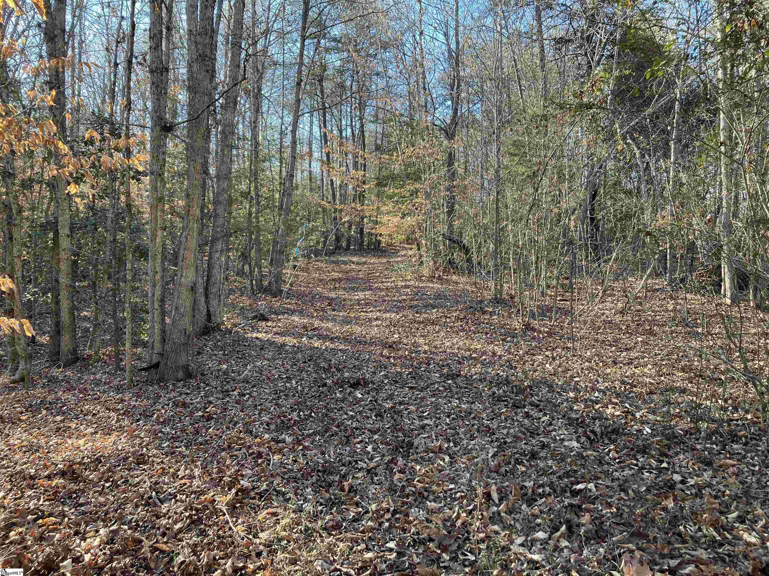 0 Cunningham Road Woodruff, SC 29388 - Photo 39 of 49 Gallery Image 39