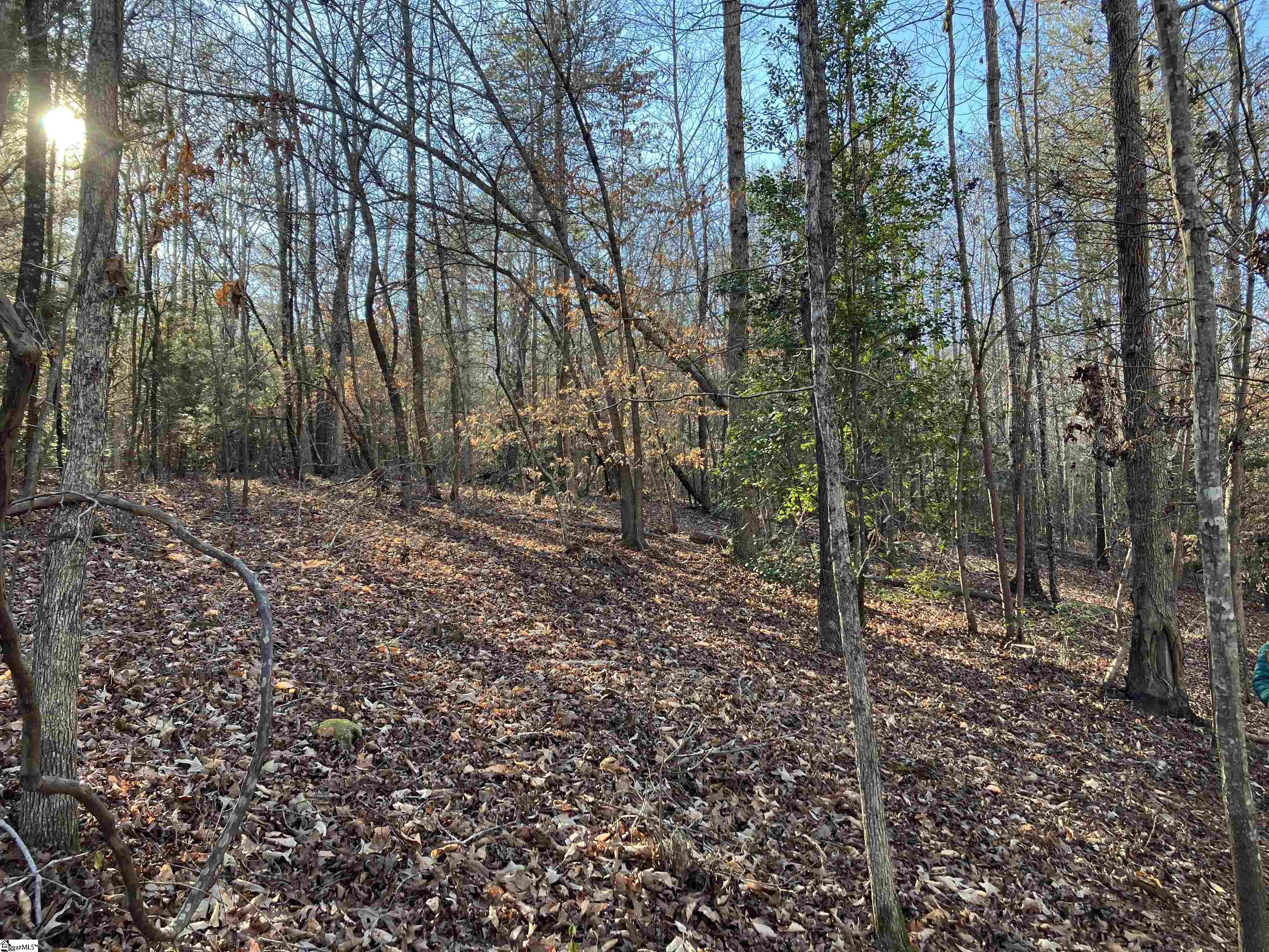 0 Cunningham Road Woodruff, SC 29388 - Photo 43 of 49 Gallery Image 43