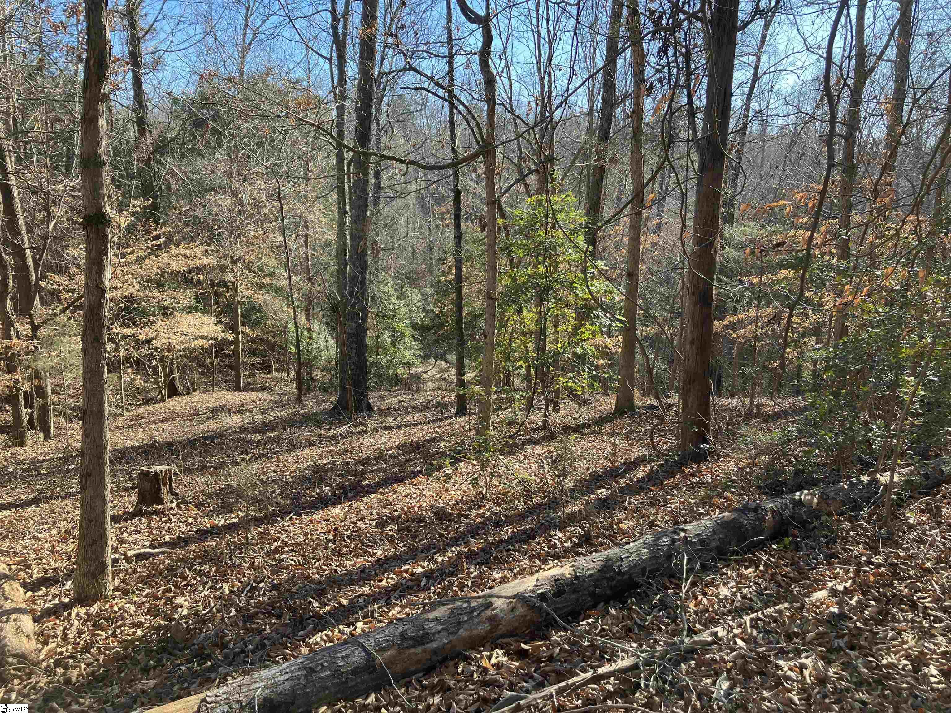 0 Cunningham Road Woodruff, SC 29388 - Photo 8 of 49 Gallery Image 8