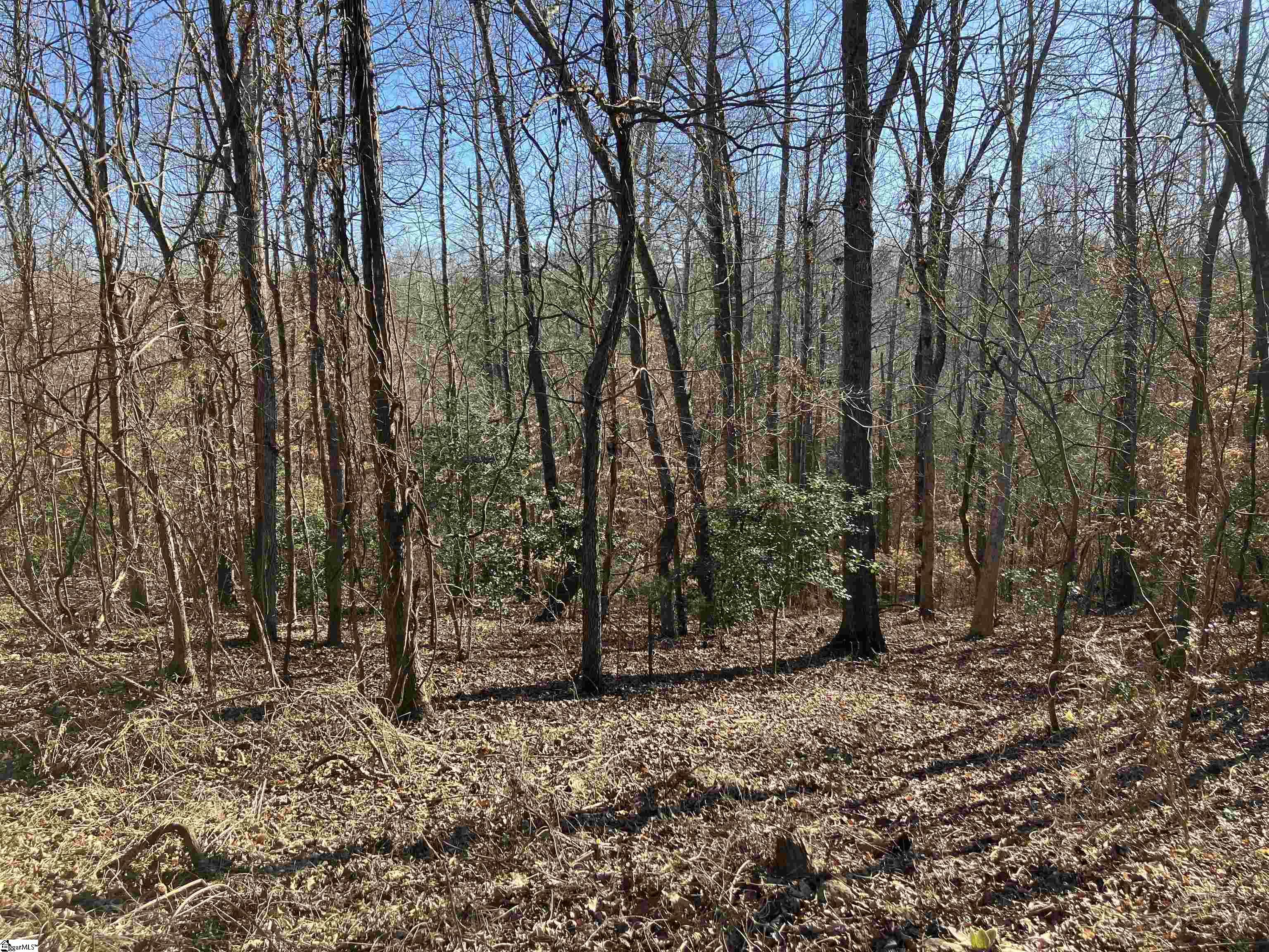 0 Cunningham Road Woodruff, SC 29388 - Photo 10 of 49 Gallery Image 10