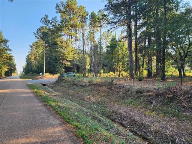 $39,500 | 1-a Old Undeedus Road, Folsom, LA 70437