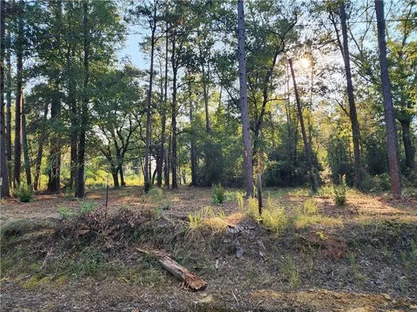 $39,000 | 1-a Old Undeedus Road, Folsom, LA 70437
