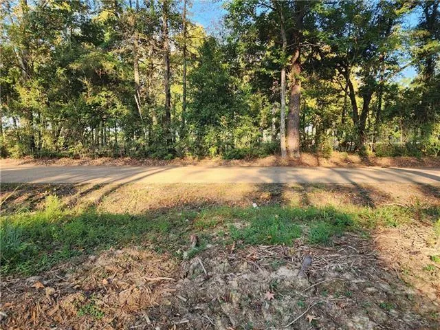 $39,500 | 1-a Old Undeedus Road, Folsom, LA 70437