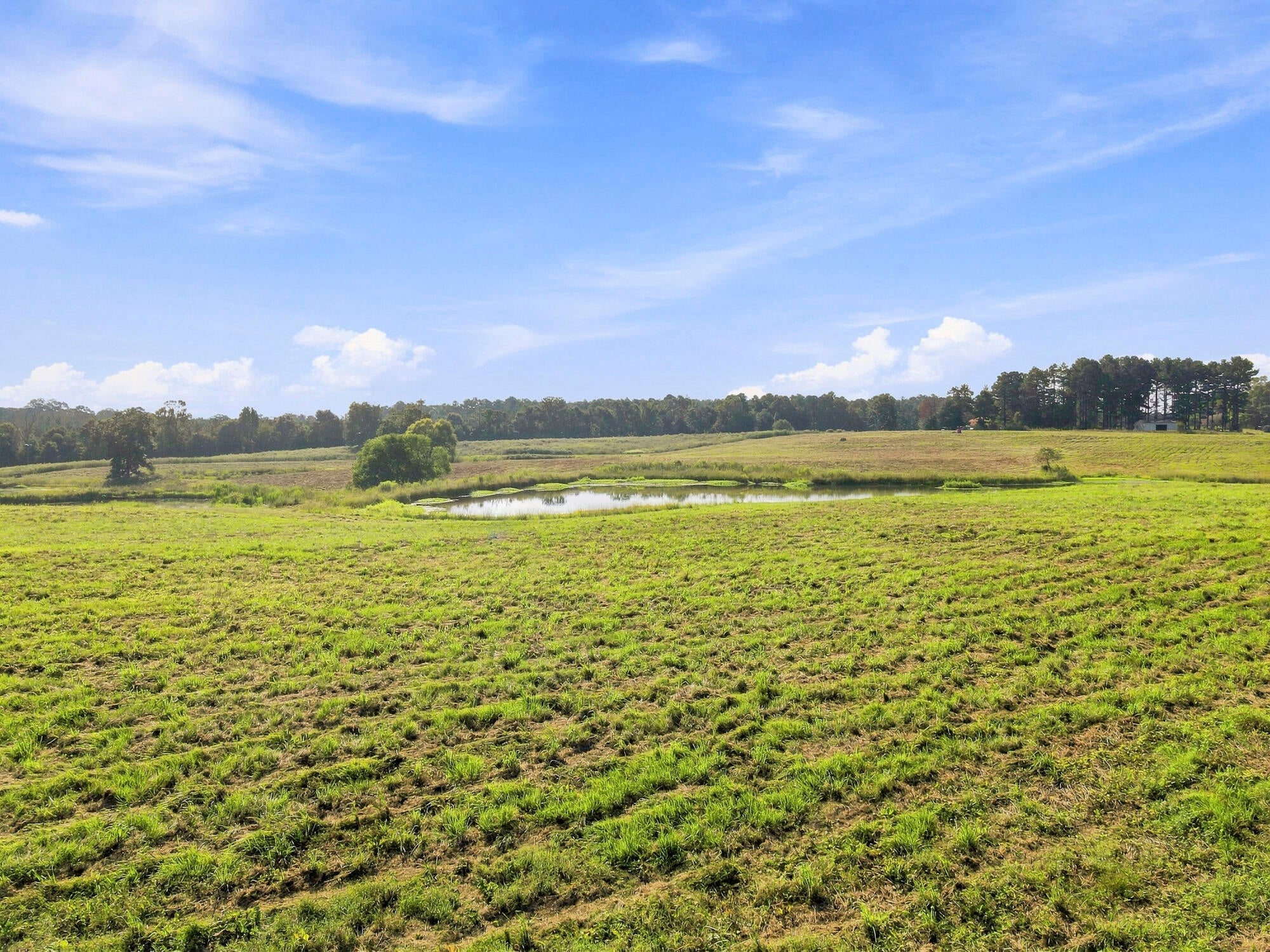 205 Clay Hill Road Richton, MS 39476 - Photo 8 of 23 Gallery Image 8
