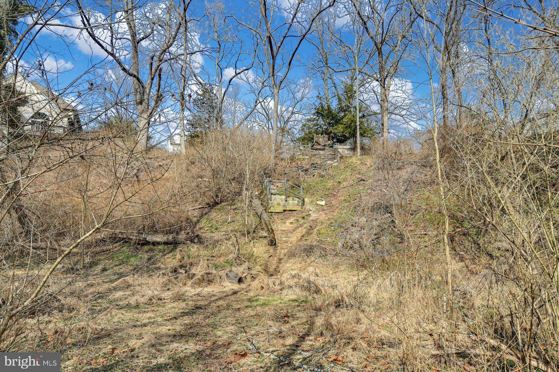 144 Old York Road New Hope, PA 18938 - Photo 31 of 34 Room to Roam