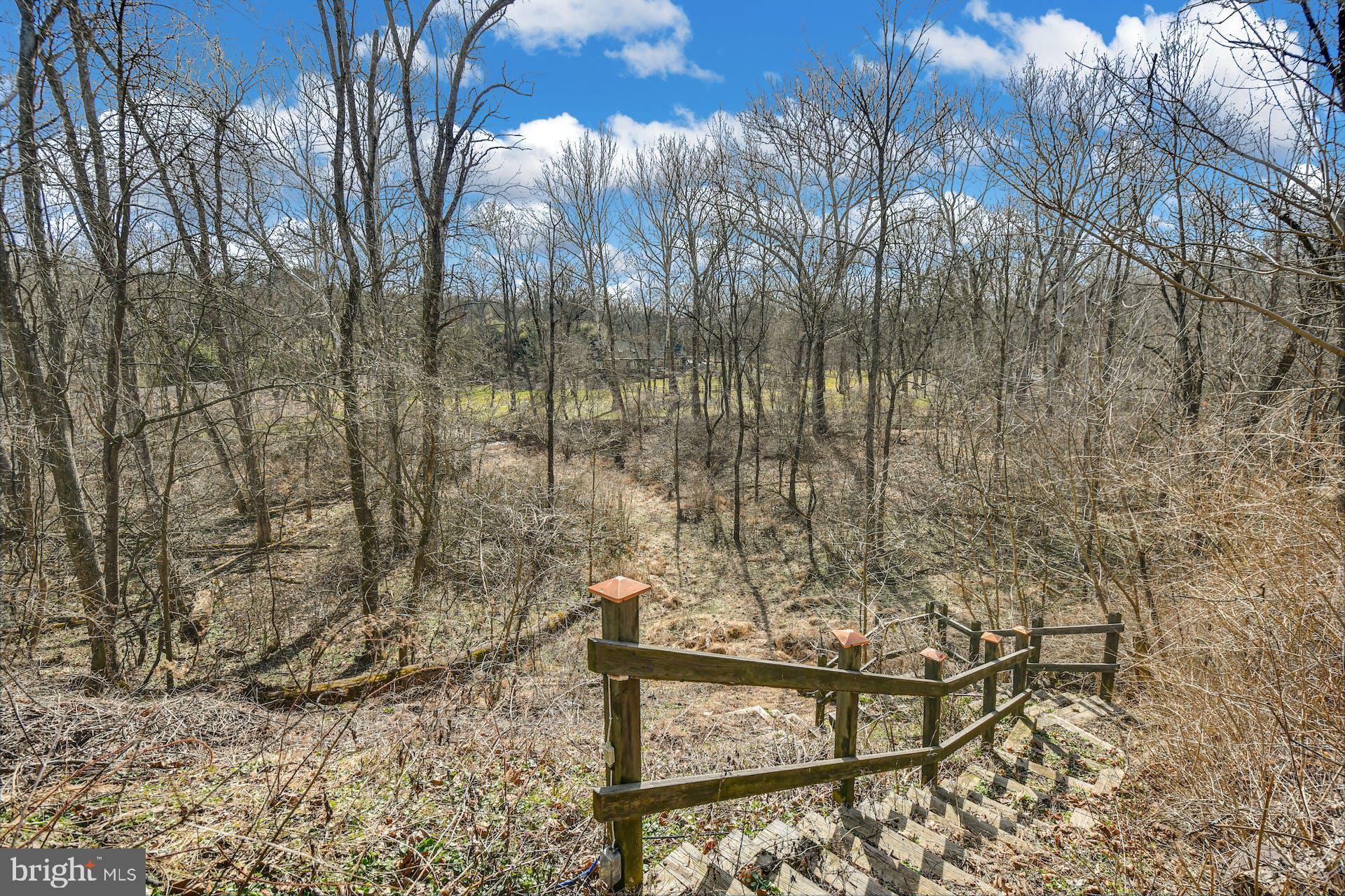 144 Old York Road New Hope, PA 18938 - Photo 4 of 34 Outdoor Wonderland