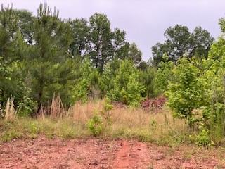 Lot 18 County Line Road Midland, GA 31820 - Photo 1 of 3 Main View