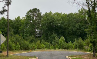 Lot 18 County Line Road Midland, GA 31820 - Photo 2 of 3 Gallery Image 2