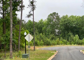 Lot 18 County Line Road Midland, GA 31820 - Photo 3 of 3 Gallery Image 3