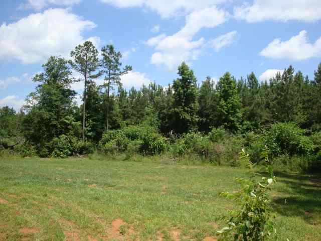 3063 Harris Springs Road Cross Hill, SC 29332 - Photo 3 of 15 Gallery Image 3