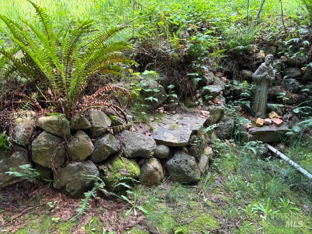 1187 Tannery Creek Road Bodega, CA 94922 - Photo 11 of 96 Gallery Image 11