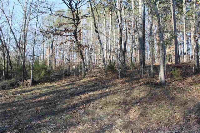 565 Old Federal Road Cleveland, TN 37323 - Photo 7 of 23 Old Federal 565.JPG7
