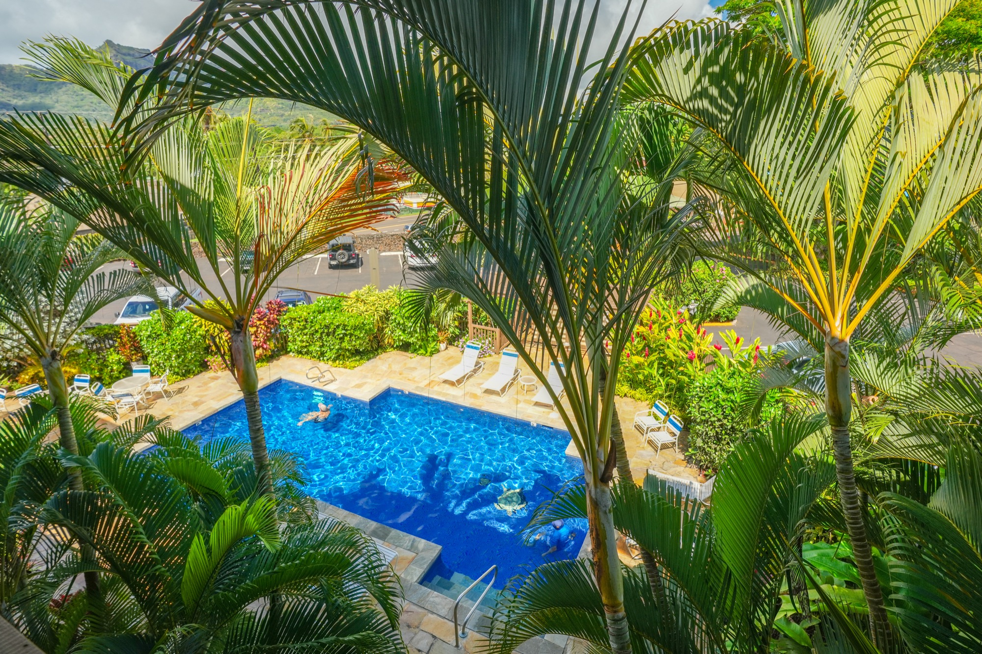 320 Papaloa Road, Unit 308 Kapaa, HI 96746 - Photo 20 of 26 a view of a garden