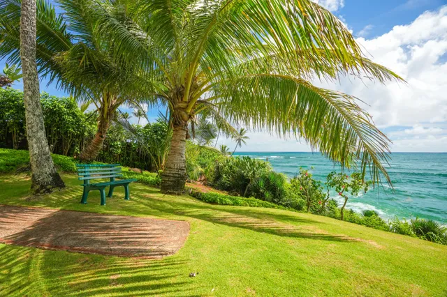 a view of a yard with plants