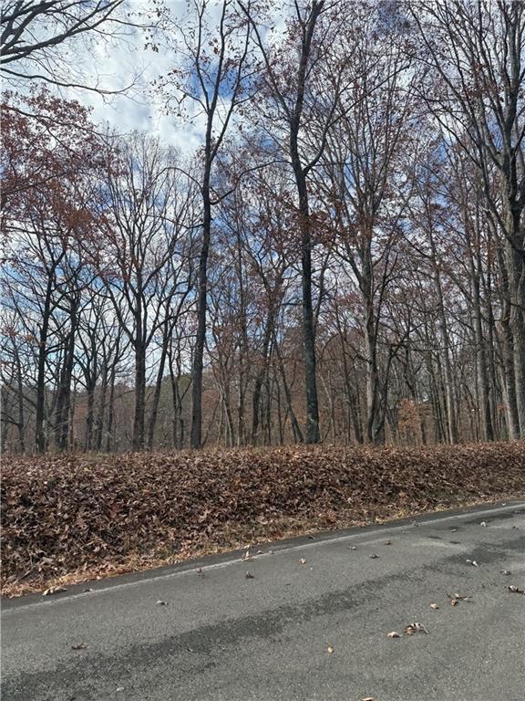 0 Orchard Road Jasper, GA 30143 - Photo 11 of 17