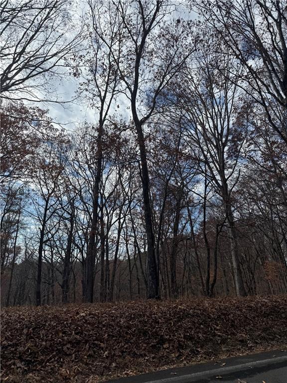 0 Orchard Road Jasper, GA 30143 - Photo 12 of 17