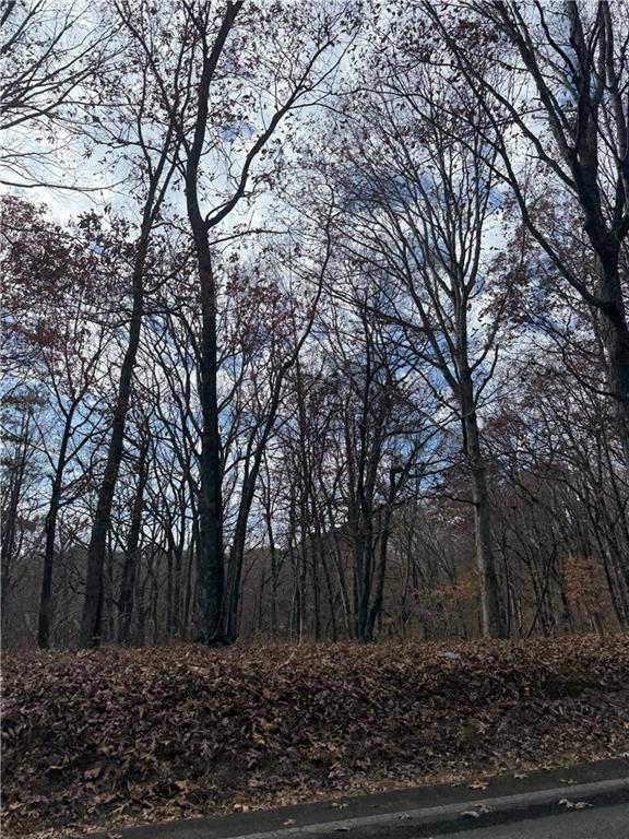 0 Orchard Road Jasper, GA 30143 - Photo 13 of 17