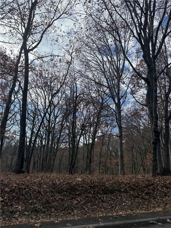 0 Orchard Road Jasper, GA 30143 - Photo 14 of 17