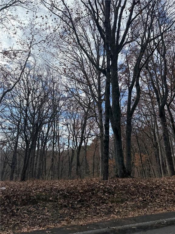 0 Orchard Road Jasper, GA 30143 - Photo 15 of 17