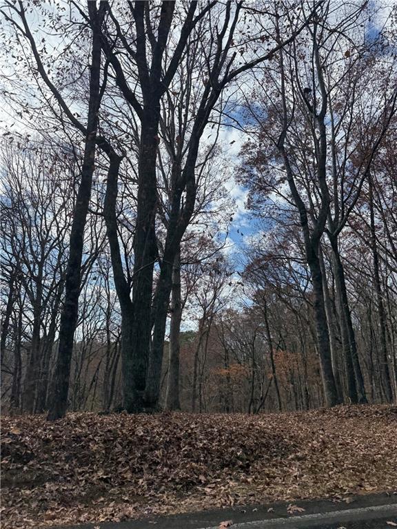 0 Orchard Road Jasper, GA 30143 - Photo 16 of 17