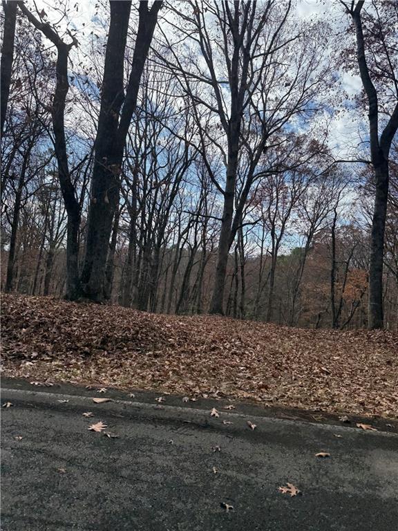 0 Orchard Road Jasper, GA 30143 - Photo 17 of 17