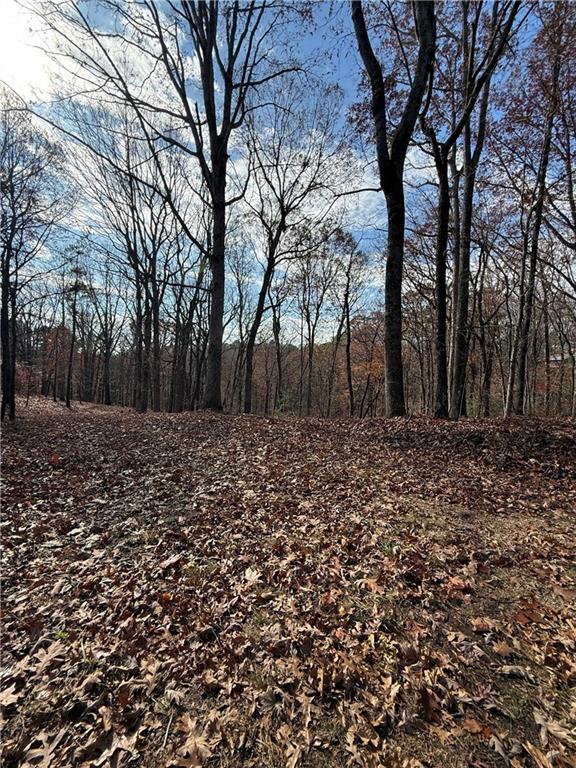 0 Orchard Road Jasper, GA 30143 - Photo 2 of 17