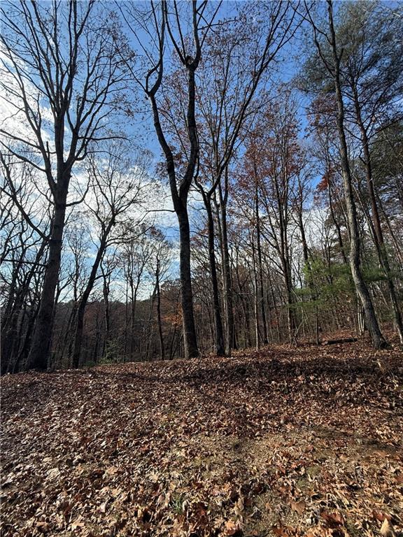 0 Orchard Road Jasper, GA 30143 - Photo 3 of 17