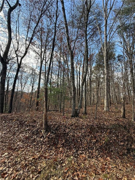 0 Orchard Road Jasper, GA 30143 - Photo 4 of 17