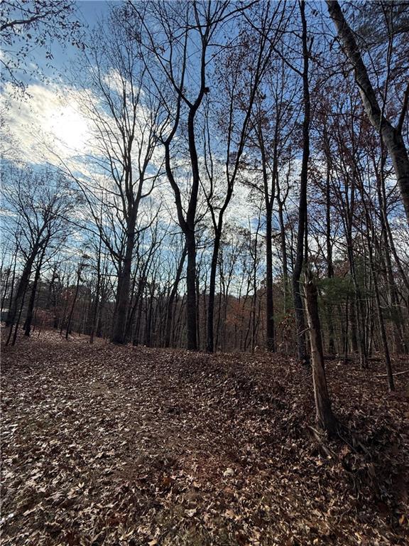 0 Orchard Road Jasper, GA 30143 - Photo 5 of 17