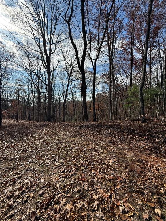 0 Orchard Road Jasper, GA 30143 - Photo 6 of 17