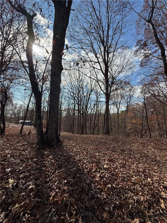 0 Orchard Road Jasper, GA 30143 - Photo 7 of 17