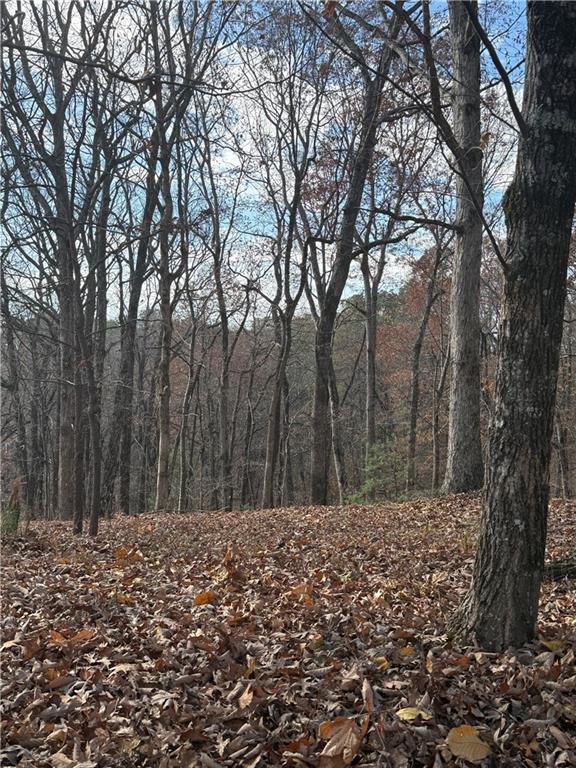 0 Orchard Road Jasper, GA 30143 - Photo 8 of 17