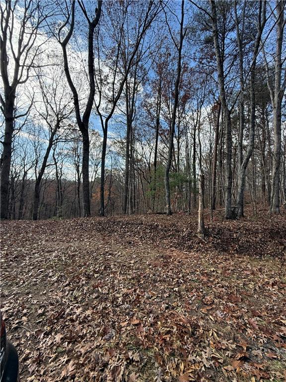 0 Orchard Road Jasper, GA 30143 - Photo 9 of 17